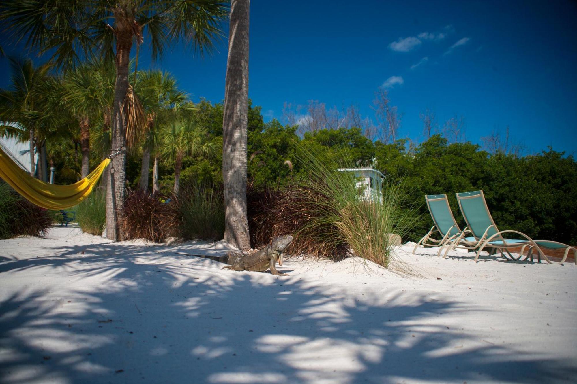Ibis Bay Resort Key West Bilik gambar